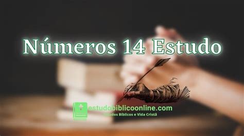 numeros 14 estudo