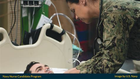 nurse candidate program navy