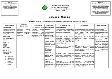 nursing care plan a client with copd Doc