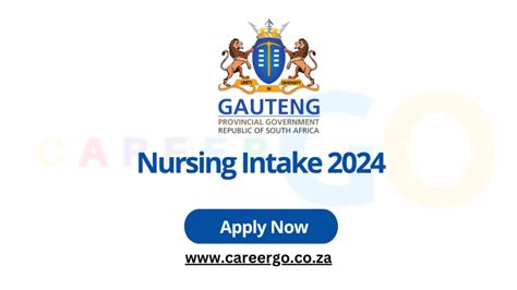 nursing intake gauteng 2015 the news papers Doc