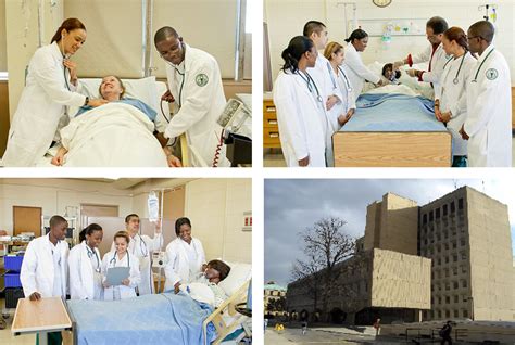 nursing programs in the bronx