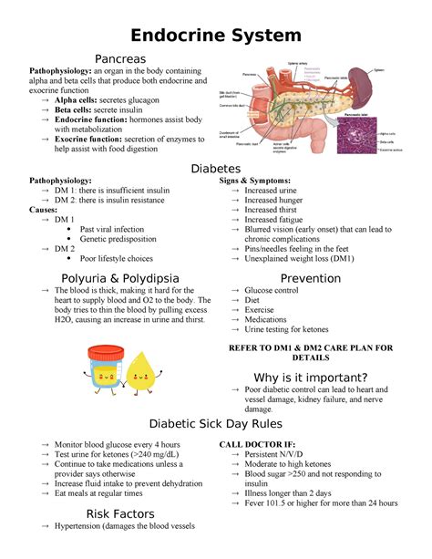 nursing study guide for endocrine system pdf Doc