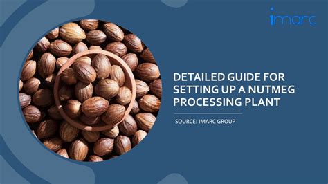 nutmeg definitive guide pdf Reader