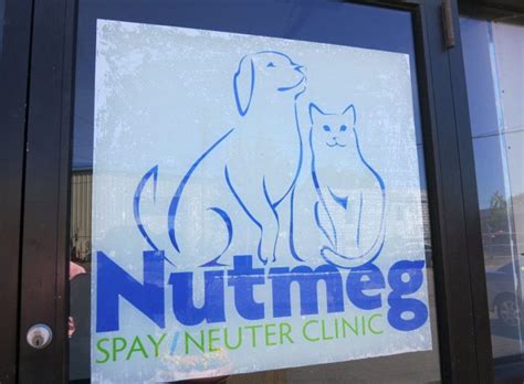 nutmeg spay clinic stratford ct