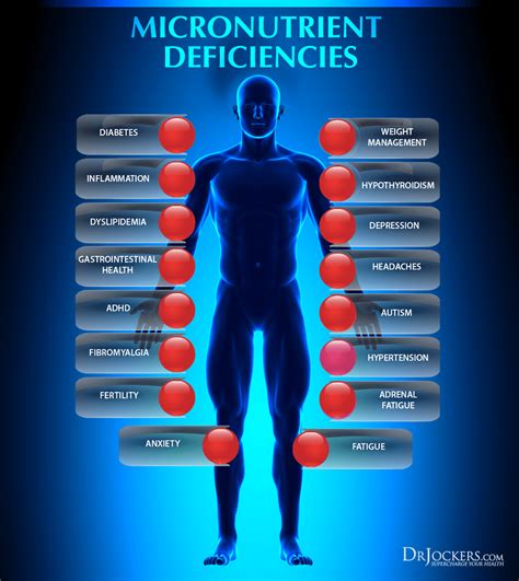 nutrient deficiency functions symptoms spectracell Doc