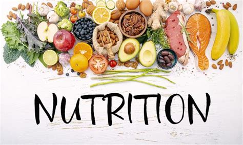 nutrition