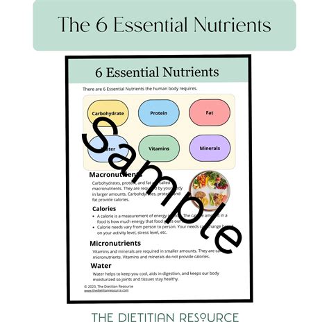 nutrition essential 6 edition test PDF