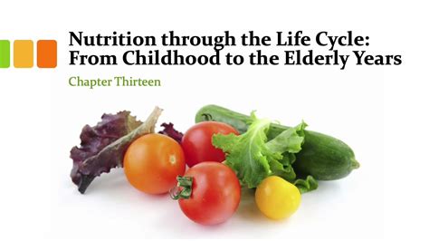 nutrition through the life cycle rar Epub