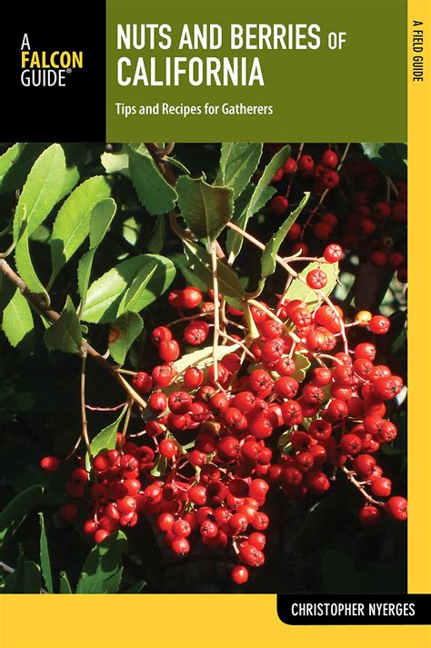 nuts and berries of california tips and recipes for gatherers Doc