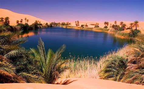 oasis of the sahara