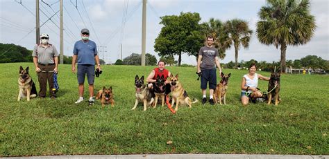 obedience classes near me