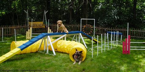 obstacle course for dogs