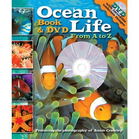 ocean life from a to z book and dvd readers book and dvd Doc