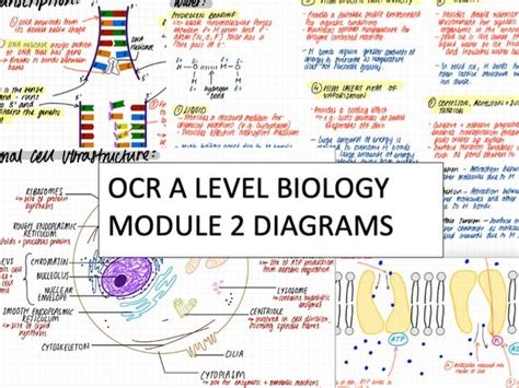 ocr-a-level-biology-f211-may-2012-mark-scheme Ebook Doc