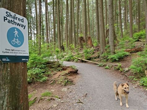 off leash dog trails near me