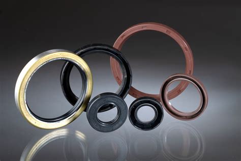 oil seal