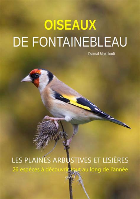 oiseaux rares difficiles for t fontainebleau ebook Epub