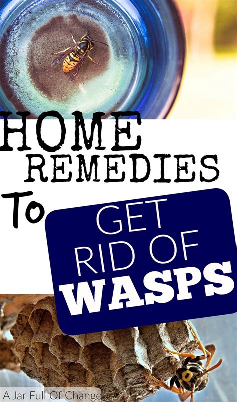 old fashioned british remedies to get rid of wasps Epub