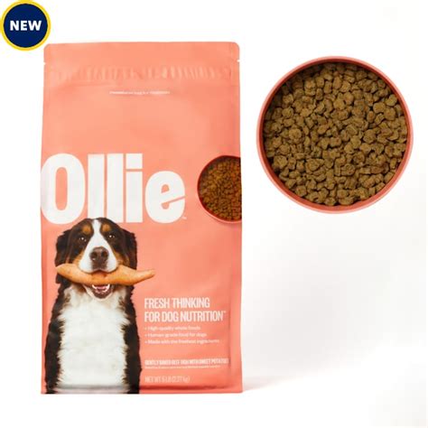 ollie dry dog food