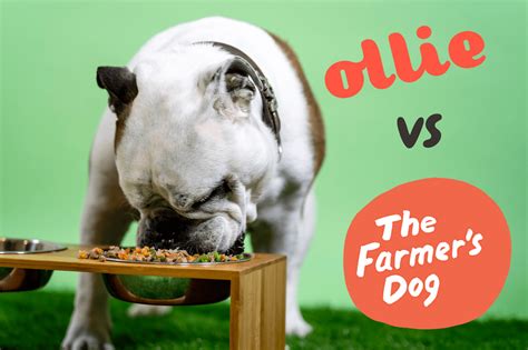 ollie vs farmer's dog