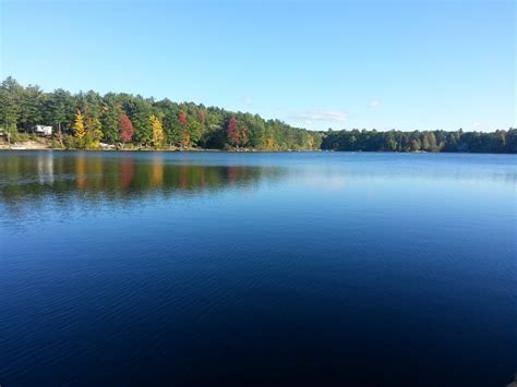 on the pond lake michigan reflections PDF