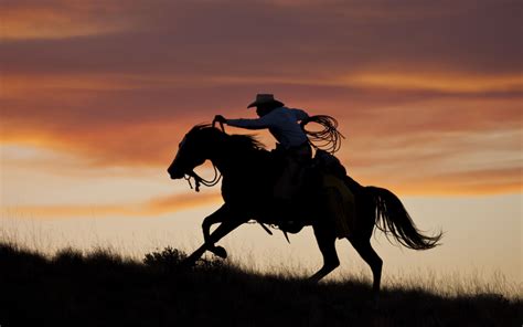 one night with the cowboy Doc