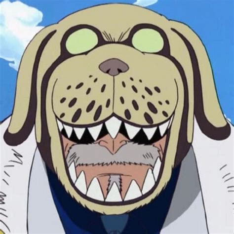 one piece garp dog hat