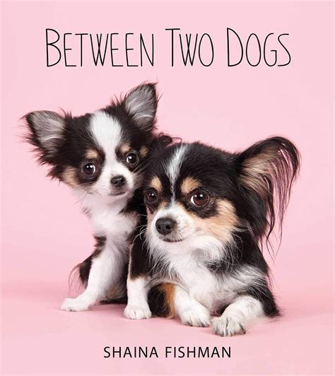 online book between two dogs shaina fishman Doc