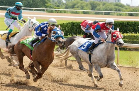 online horse betting