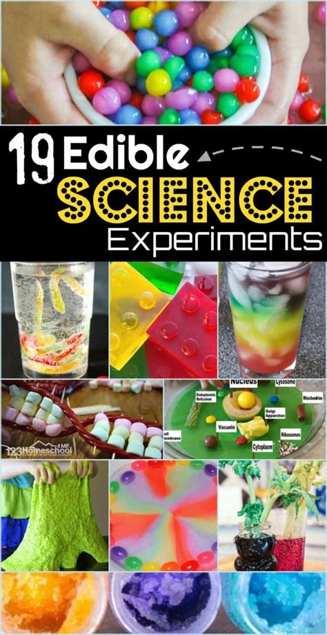 online pdf amazing mostly edible science experiments Epub