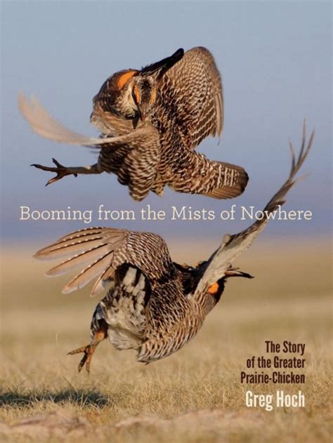 online pdf booming mists nowhere greater prairie chicken PDF