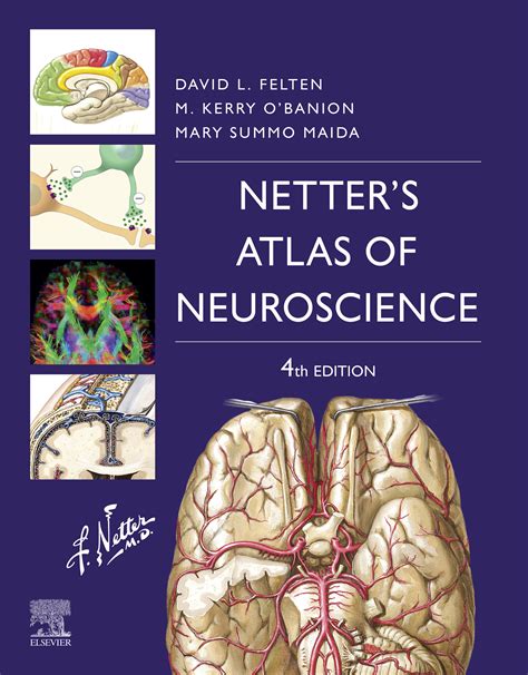 online pdf netters atlas neuroscience netter science Doc