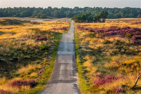 ons nationale park de hoge veluwe Doc