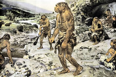 op het spoor van de neanderthal mens Reader