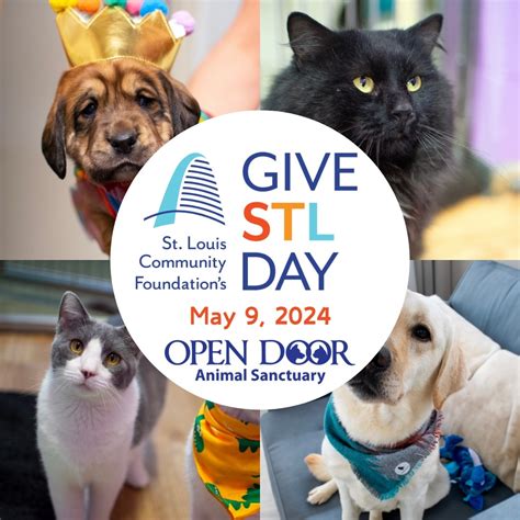 open door animal sanctuary in house springs mo