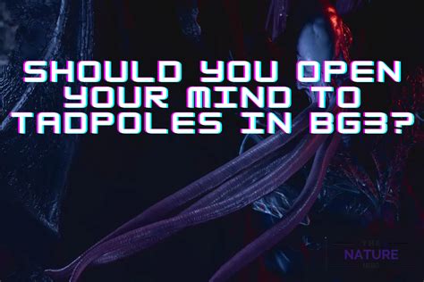 open your mind to the tadpole bg3