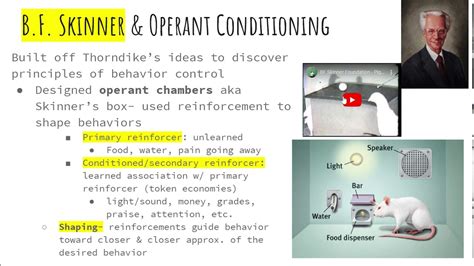 operant conditioning ap psychology definition