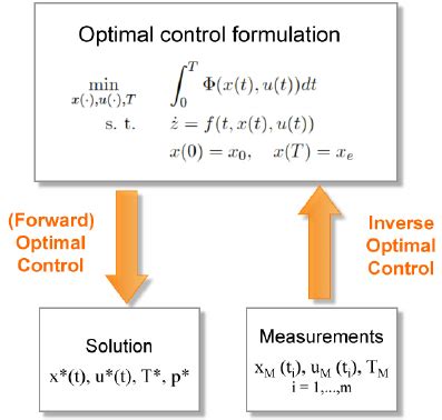 optimal control theory optimal control theory Kindle Editon