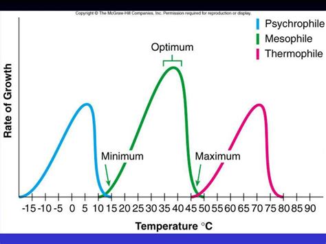 optimum growth,