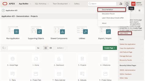 oracle apex 40 documentation Reader
