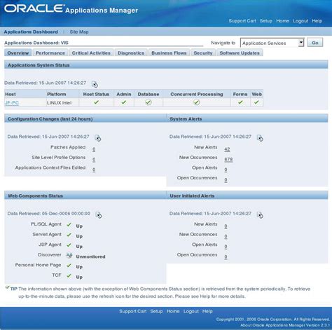 oracle application manager user guide Epub