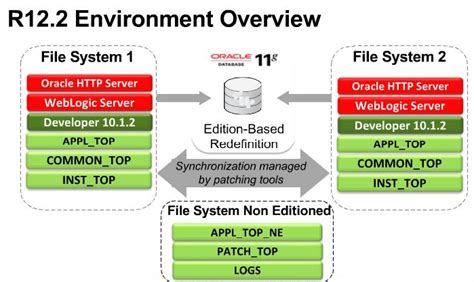 oracle application r12 documentation Kindle Editon