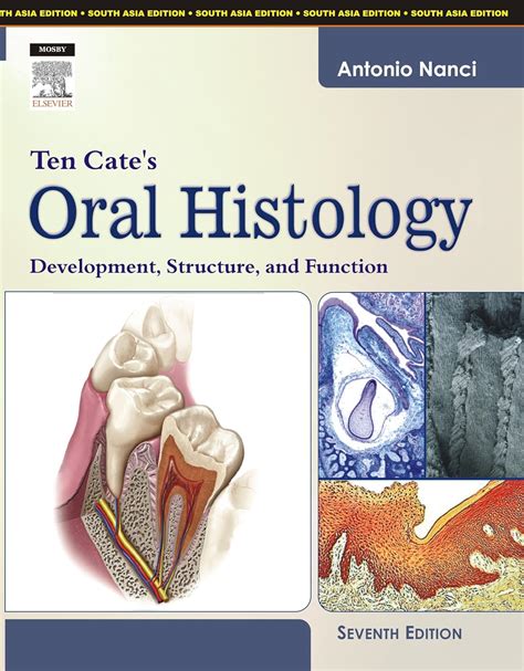 oral histology development structure and function 5e Reader