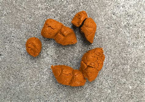 orange poop dog