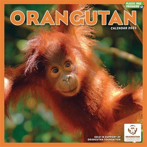 orangutan 2016 original browntrout kalender mehrsprachig Epub