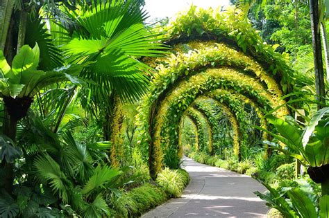 orchid garden singapore