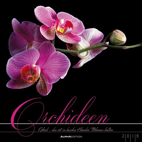 orchideen 2016 blumen bildkalender foliendeckblatt Reader