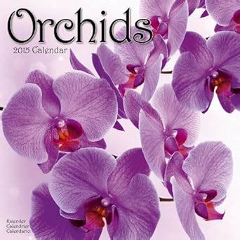 orchids calendar 2015 wall calendars garden calendars flower calendar monthly wall calendar by avonside Doc