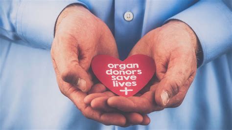 organ donation singapore