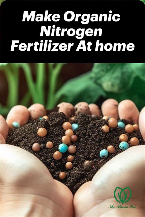 organic fertilizer nitrogen